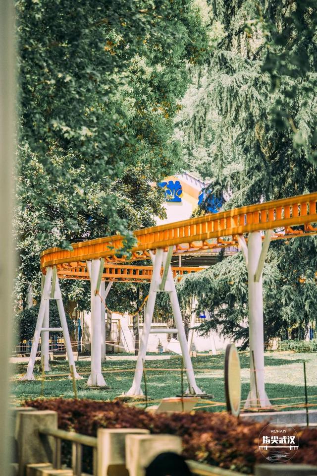 武汉中山公园游玩攻略（在中山公园里走一走）(7)