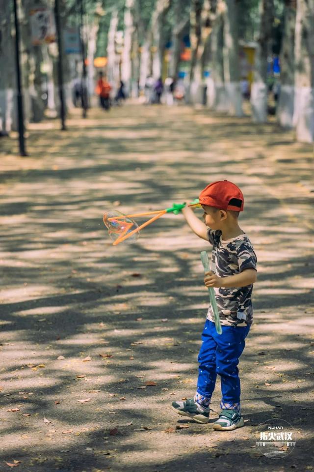 武汉中山公园游玩攻略（在中山公园里走一走）(14)