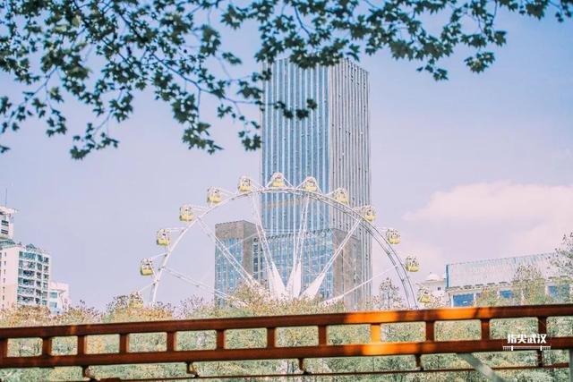 武汉中山公园游玩攻略（在中山公园里走一走）(8)