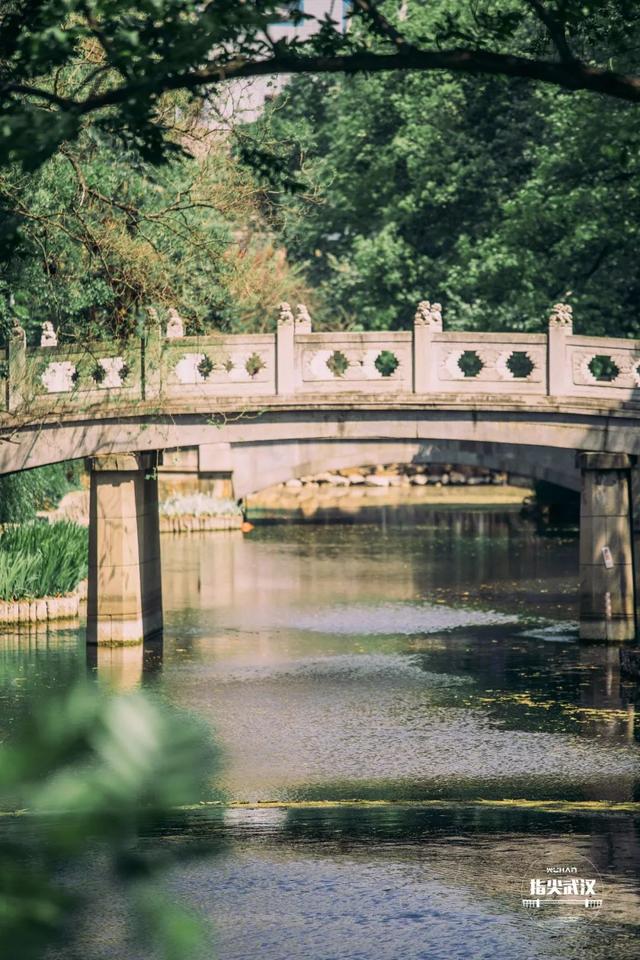 武汉中山公园游玩攻略（在中山公园里走一走）(3)