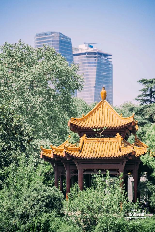 武汉中山公园游玩攻略（在中山公园里走一走）(2)