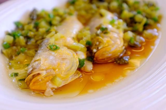 上海最美公路（玩魔都最美公路）(15)