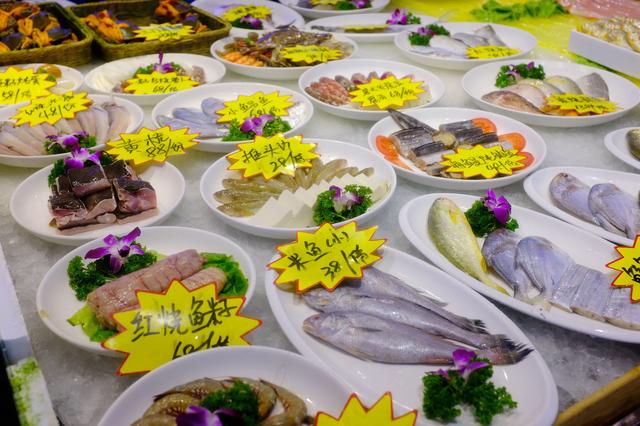 上海最美公路（玩魔都最美公路）(11)