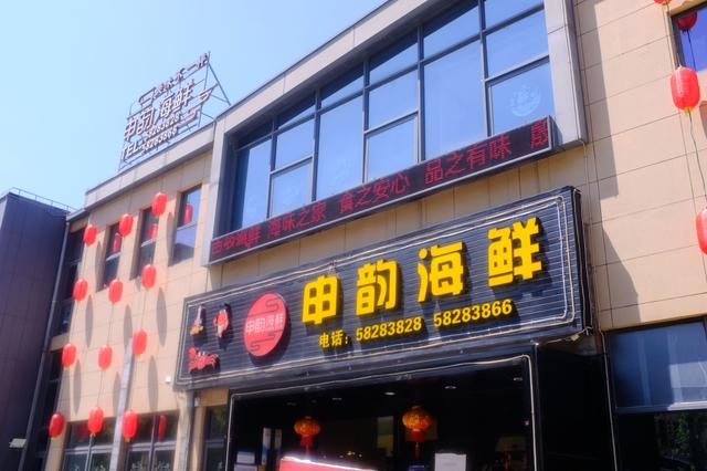 上海最美公路（玩魔都最美公路）(2)