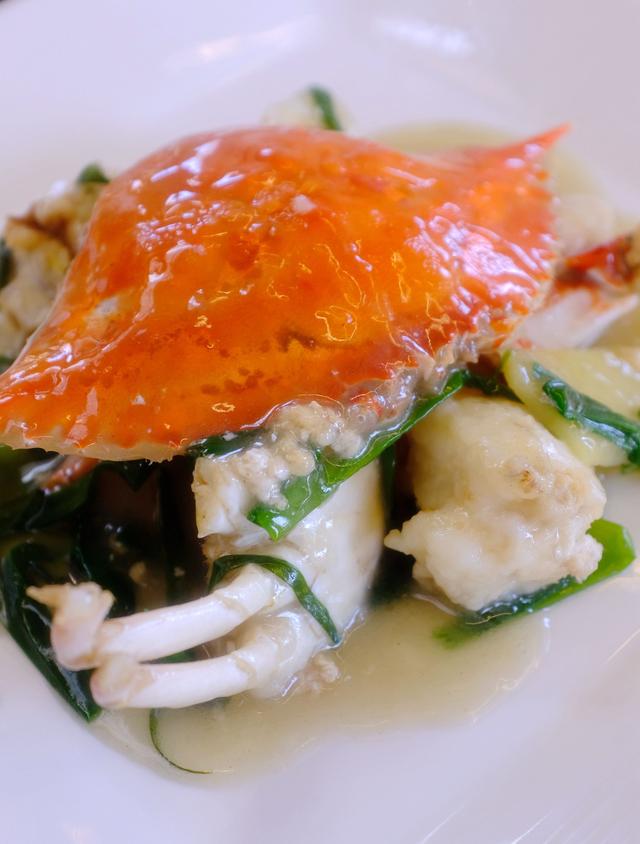 上海最美公路（玩魔都最美公路）(16)