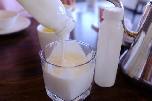 上海最美公路（玩魔都最美公路）(14)