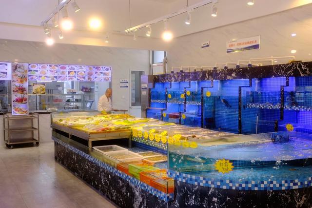 上海最美公路（玩魔都最美公路）(3)