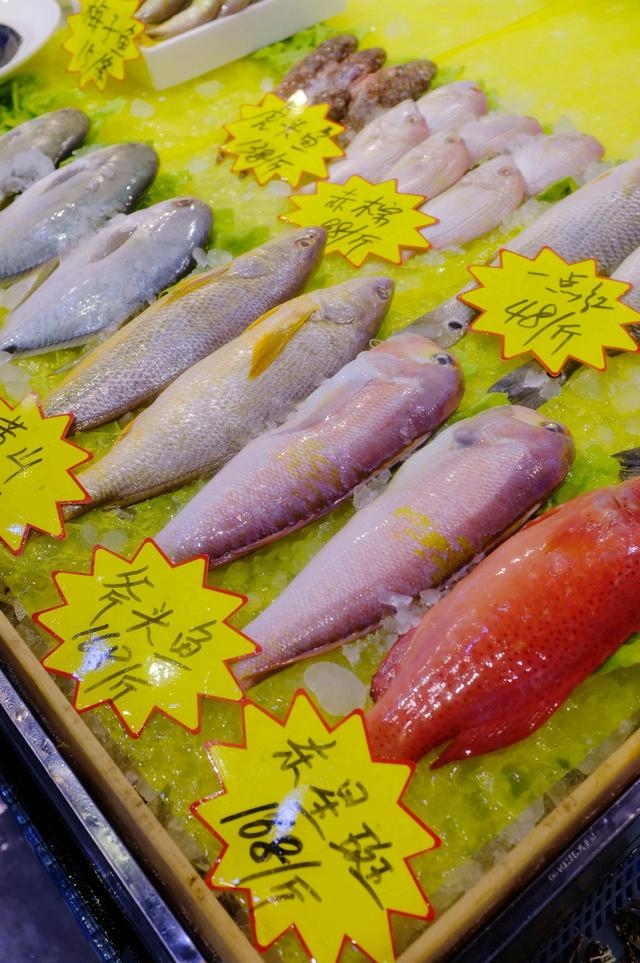 上海最美公路（玩魔都最美公路）(7)