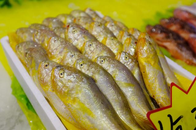 上海最美公路（玩魔都最美公路）(4)