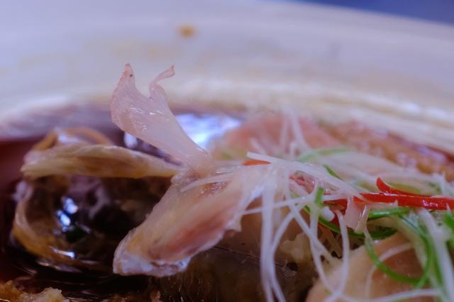 上海最美公路（玩魔都最美公路）(20)