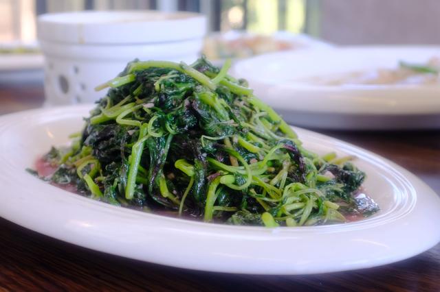 上海最美公路（玩魔都最美公路）(24)