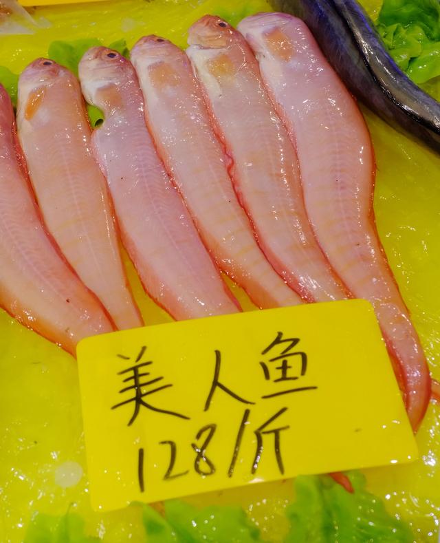 上海最美公路（玩魔都最美公路）(10)