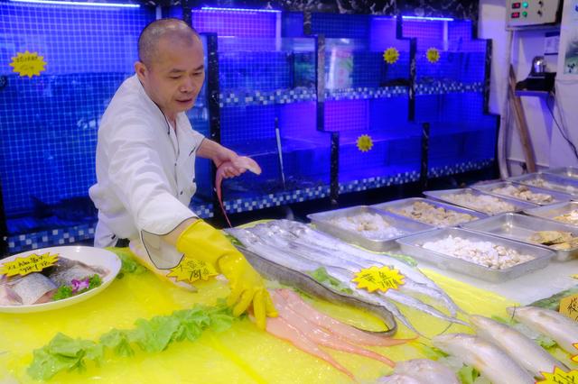 上海最美公路（玩魔都最美公路）(5)