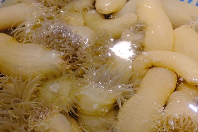 上海最美公路（玩魔都最美公路）(6)