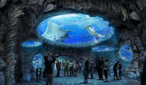 香港旅游必去的十大景点（香港10大旅游景点）(7)