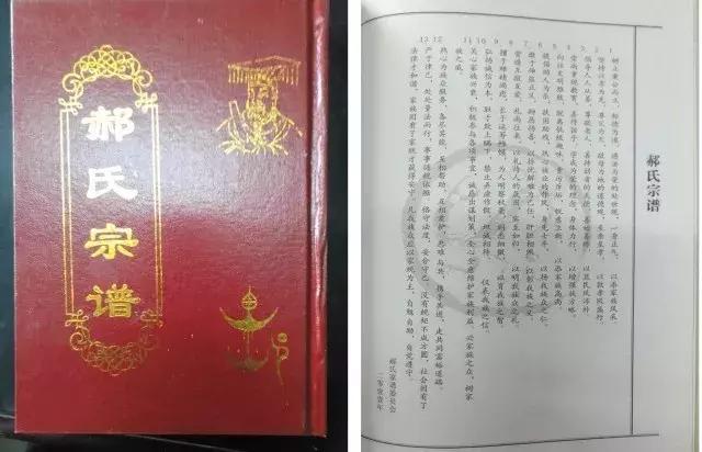 山西洪洞县大槐树在哪里（若问祖先何处来）(13)