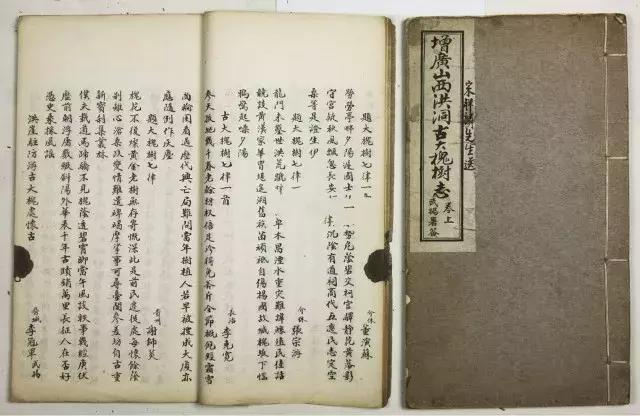 山西洪洞县大槐树在哪里（若问祖先何处来）(22)