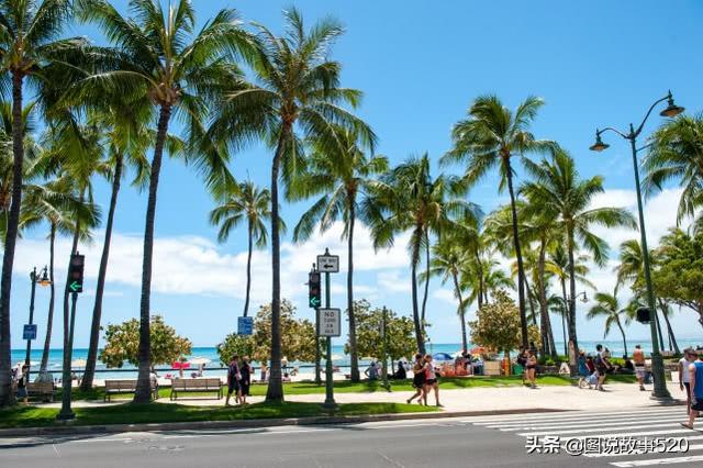 夏威夷的一座城市又称檀香山（夏威夷州府为何叫）(6)