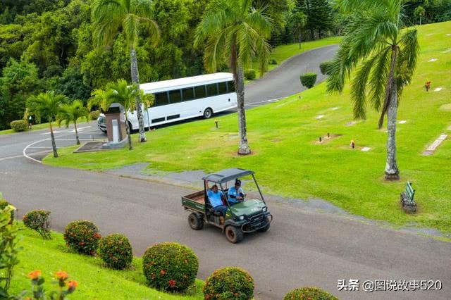 夏威夷的一座城市又称檀香山（夏威夷州府为何叫）(19)