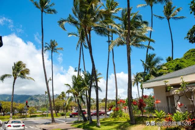 夏威夷的一座城市又称檀香山（夏威夷州府为何叫）(16)