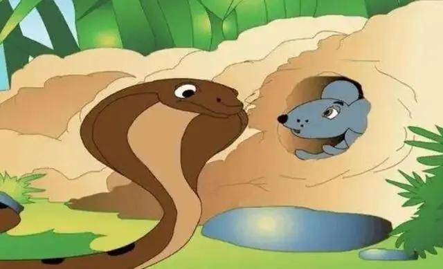 在洞里发现巨大的巨蟒（福建惊现20多斤蟒蛇晒太阳）(2)