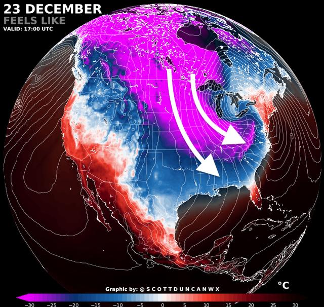 在洞里发现巨大的巨蟒（福建惊现20多斤蟒蛇晒太阳）(11)