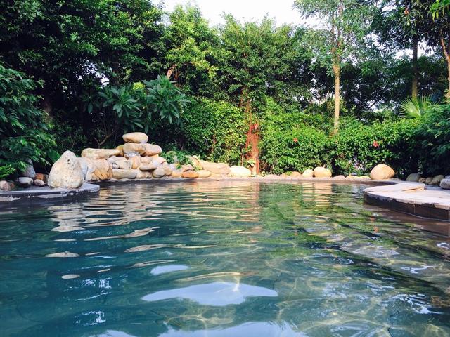 佛山十大旅游景点你去过几个（广东佛山最著名的十五大景点）(10)