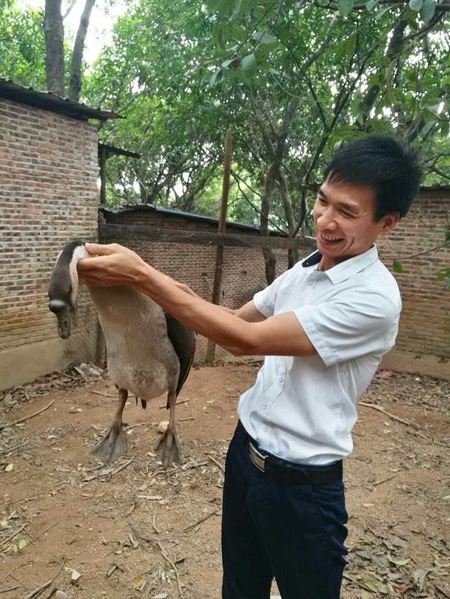 顺德龙眼村美食农庄（广州城市农家乐享受自然的味道）(8)