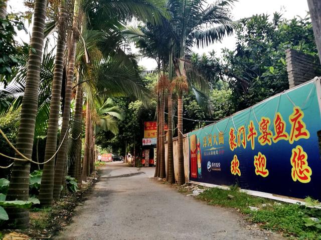 顺德龙眼村美食农庄（广州城市农家乐享受自然的味道）(28)