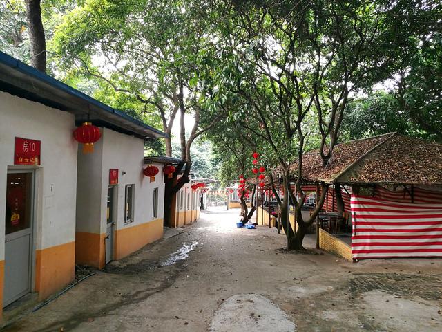 顺德龙眼村美食农庄（广州城市农家乐享受自然的味道）(27)