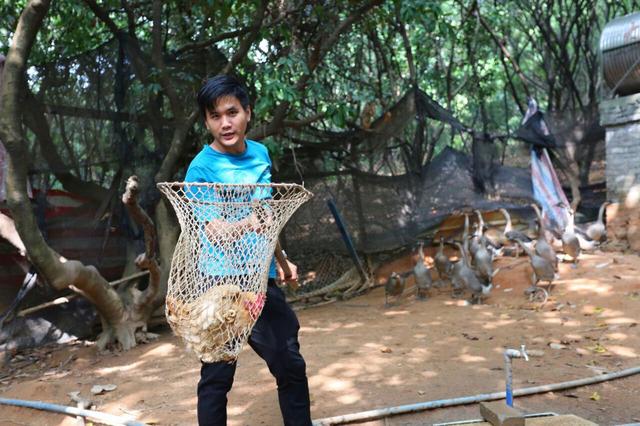 顺德龙眼村美食农庄（广州城市农家乐享受自然的味道）(11)