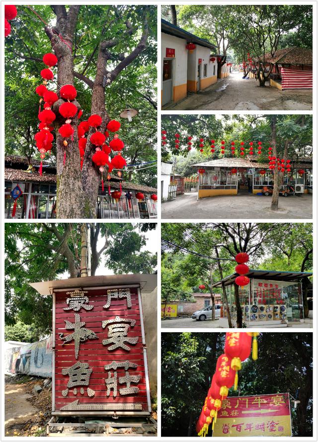 顺德龙眼村美食农庄（广州城市农家乐享受自然的味道）(3)