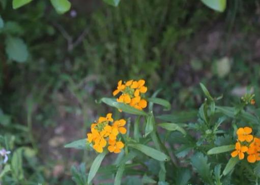 神仙岭网红圣地（曲阳网红打卡胜地）(8)
