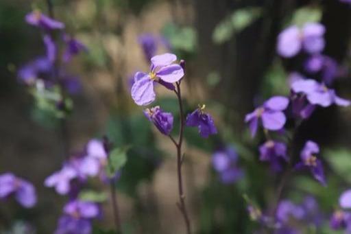 神仙岭网红圣地（曲阳网红打卡胜地）(12)