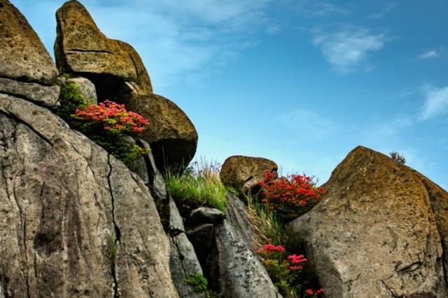 江西丰城市简介（江西省十强县级市）(5)