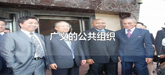 广义的公共组织