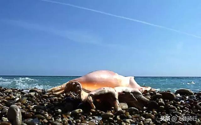 海南岛环岛骑行最佳季节（环海南岛骑行攻略）(23)