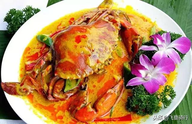 海南岛环岛骑行最佳季节（环海南岛骑行攻略）(22)