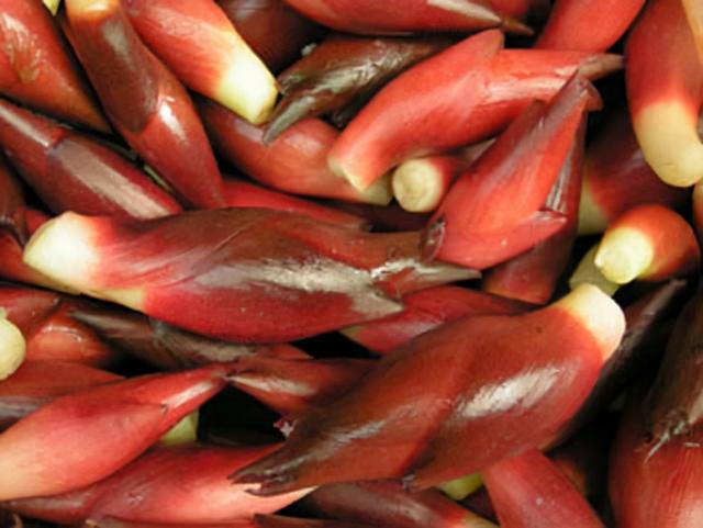 云南品牌农产品排行榜（全国地理标志农产品目录系列之）(3)