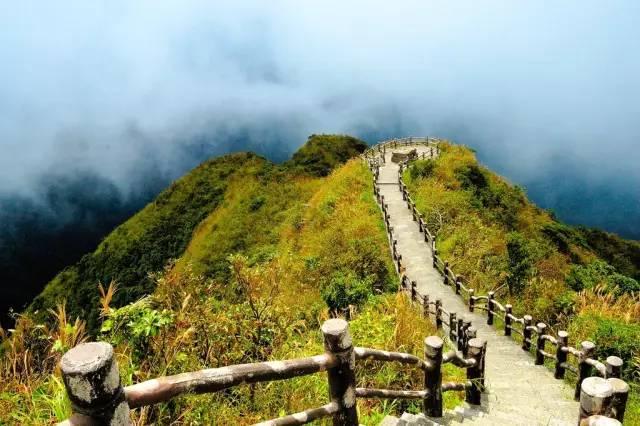 南宁半日游免费景点大全（南宁47个景点够玩一整年）(46)