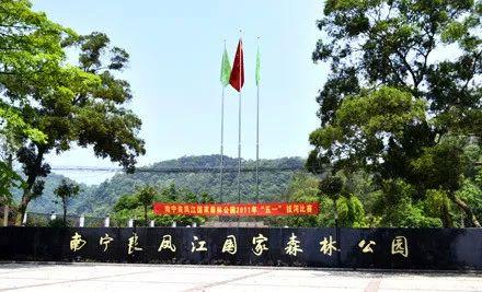 南宁半日游免费景点大全（南宁47个景点够玩一整年）(39)