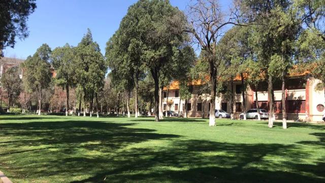 95个专业排名前十的大学（各省份最好的大学及专业汇总）(12)