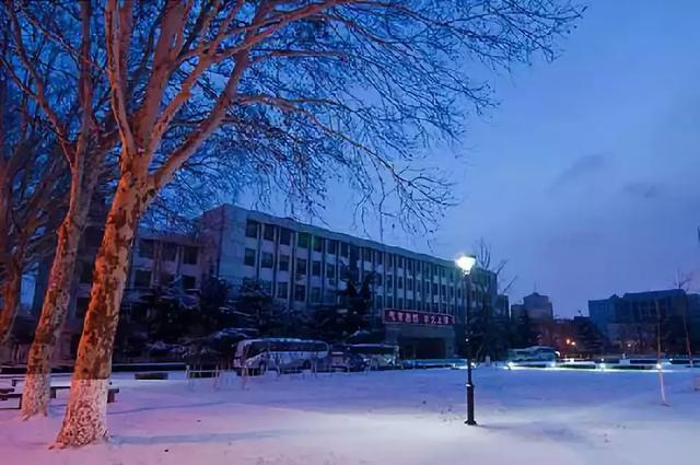 95个专业排名前十的大学（各省份最好的大学及专业汇总）(9)