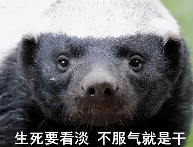 越南进攻柬埔寨的真实原因（越南与柬埔寨40年恩怨史）(14)