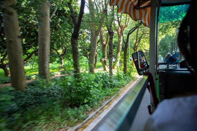 深圳大学属于985还是属于211（不是985211但深圳大学是真的牛）(20)