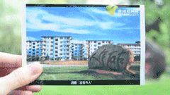 深圳大学属于985还是属于211（不是985211但深圳大学是真的牛）(8)