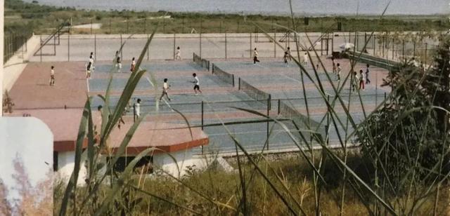 深圳大学属于985还是属于211（不是985211但深圳大学是真的牛）(5)