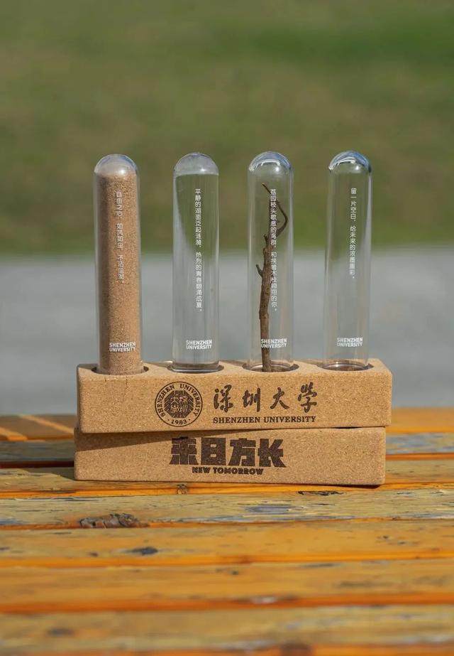 深圳大学属于985还是属于211（不是985211但深圳大学是真的牛）(24)