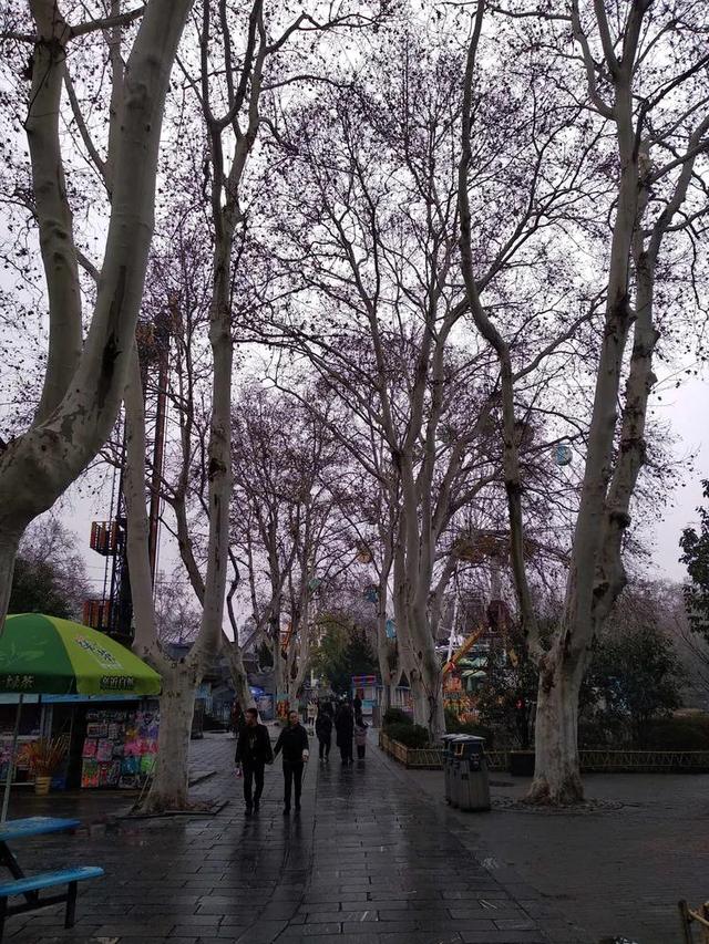 合肥步行街李鸿章故居介绍（李鸿章故居及周边景点）(74)