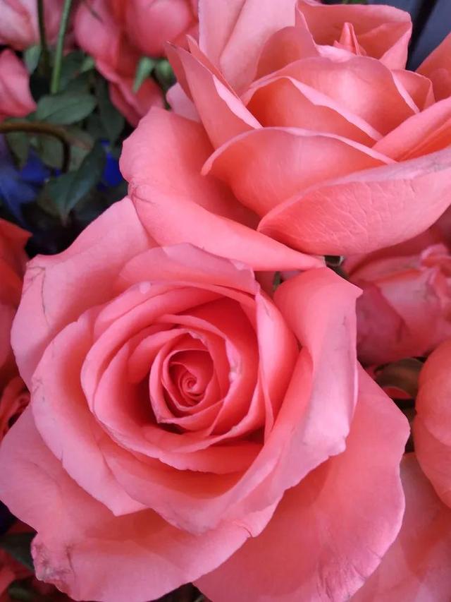 合肥步行街李鸿章故居介绍（李鸿章故居及周边景点）(69)